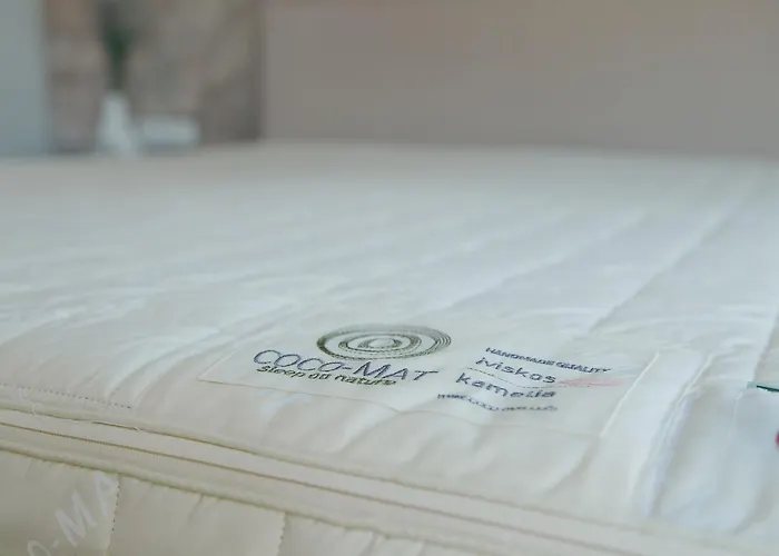 Filoxenion Luxury & Lofts Appartement *